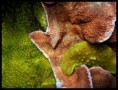 /album/galerie-de-photos/interne8-jpg/